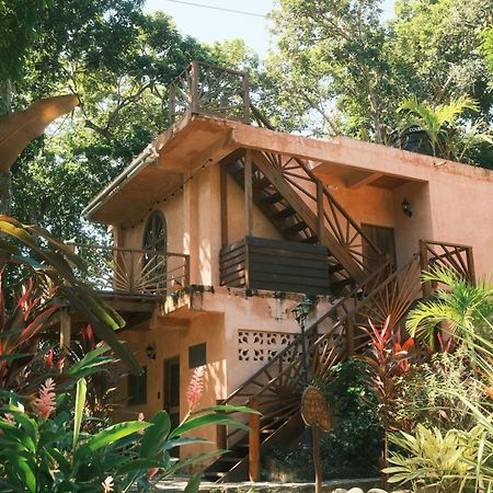 Salvia Madre Guachaca Exterior foto