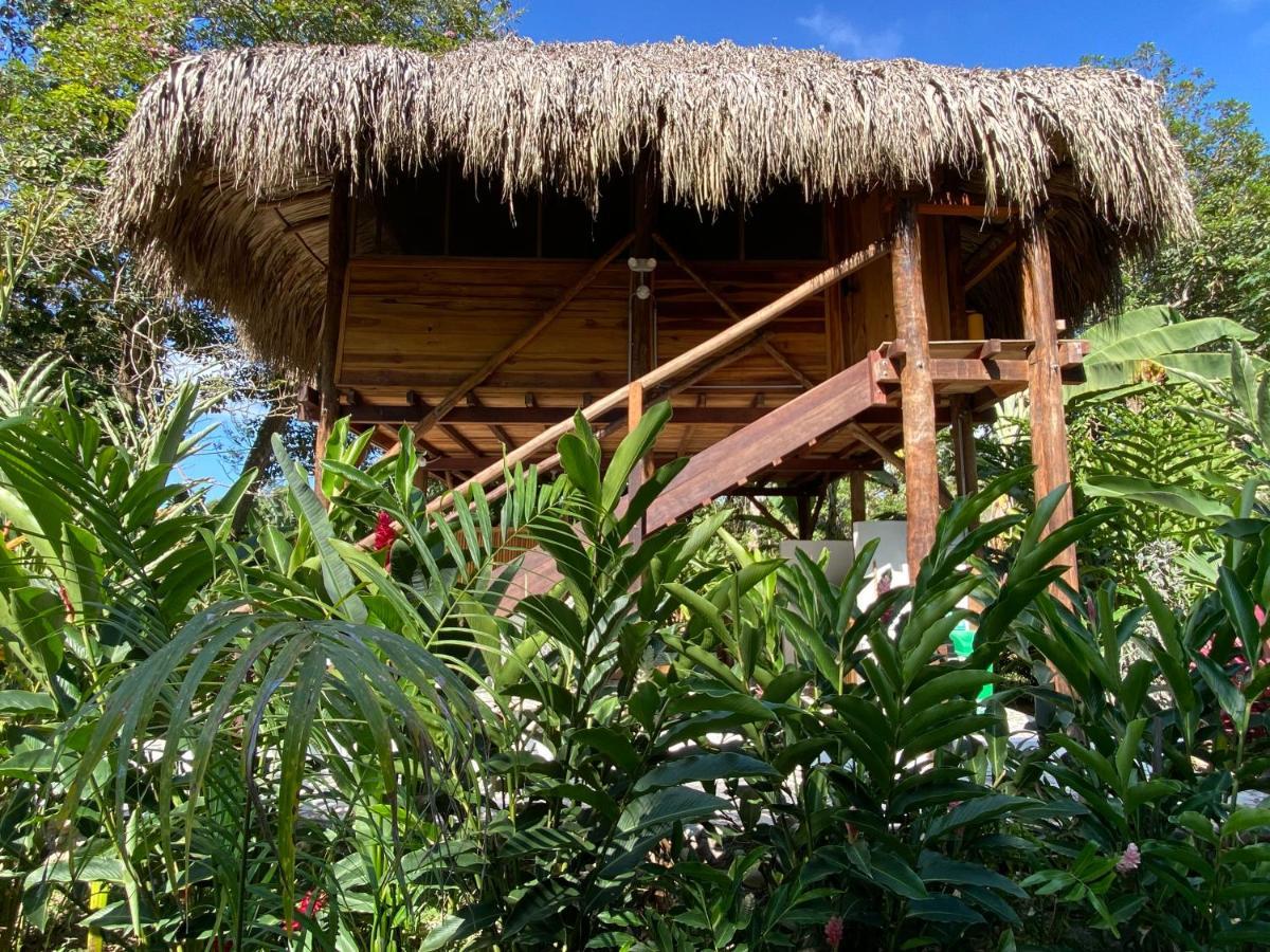 Salvia Madre Guachaca Exterior foto