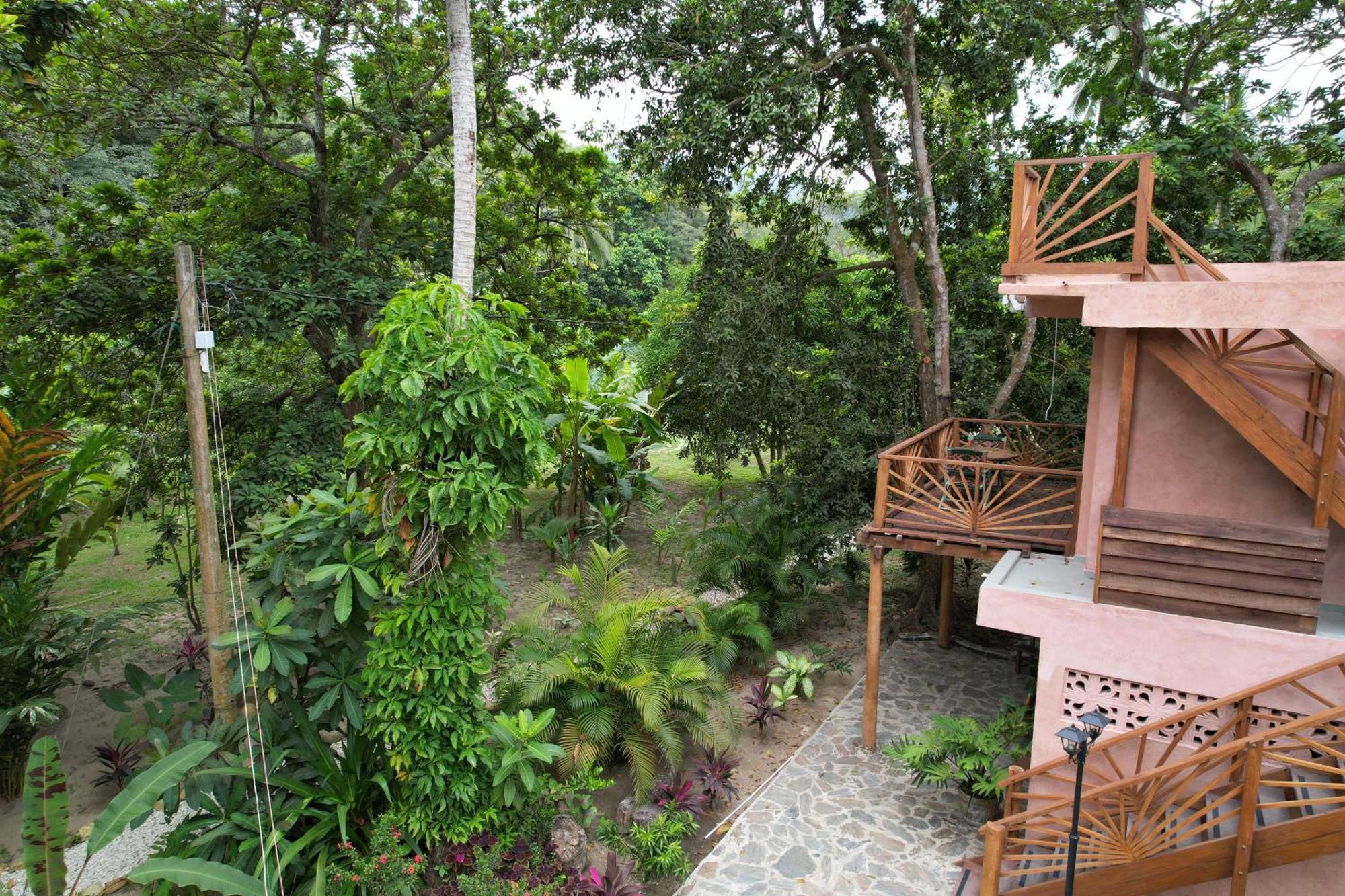 Salvia Madre Guachaca Exterior foto