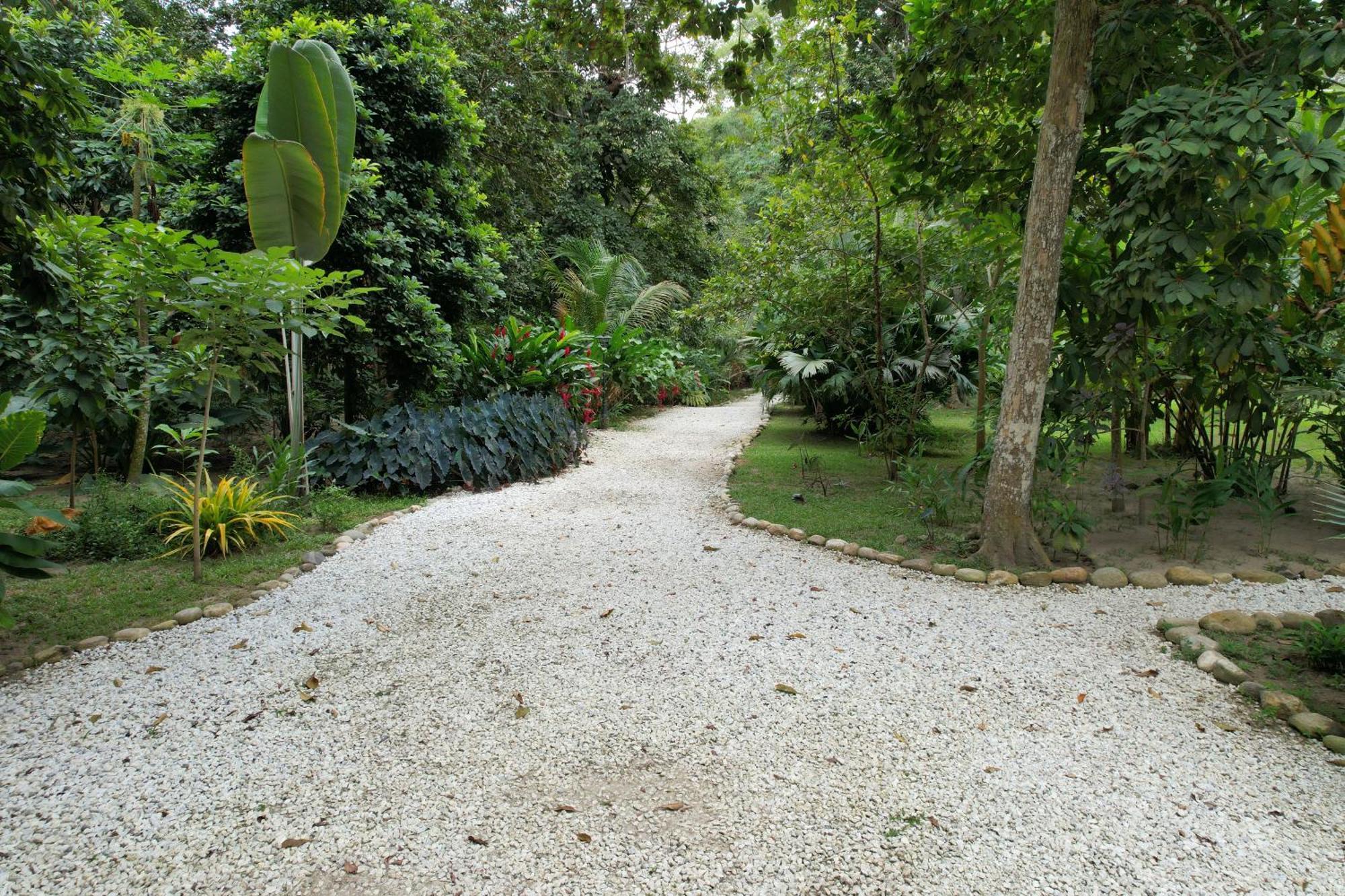 Salvia Madre Guachaca Exterior foto