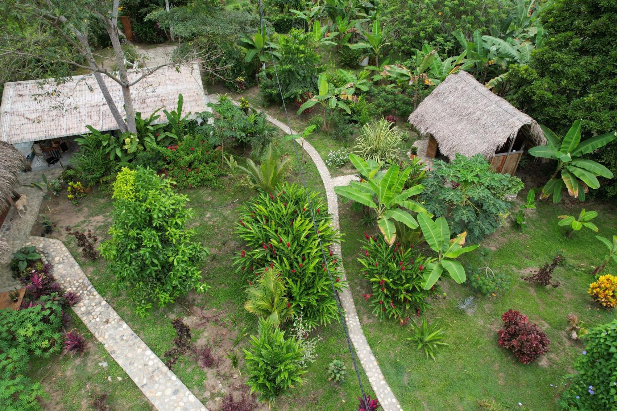 Salvia Madre Guachaca Exterior foto