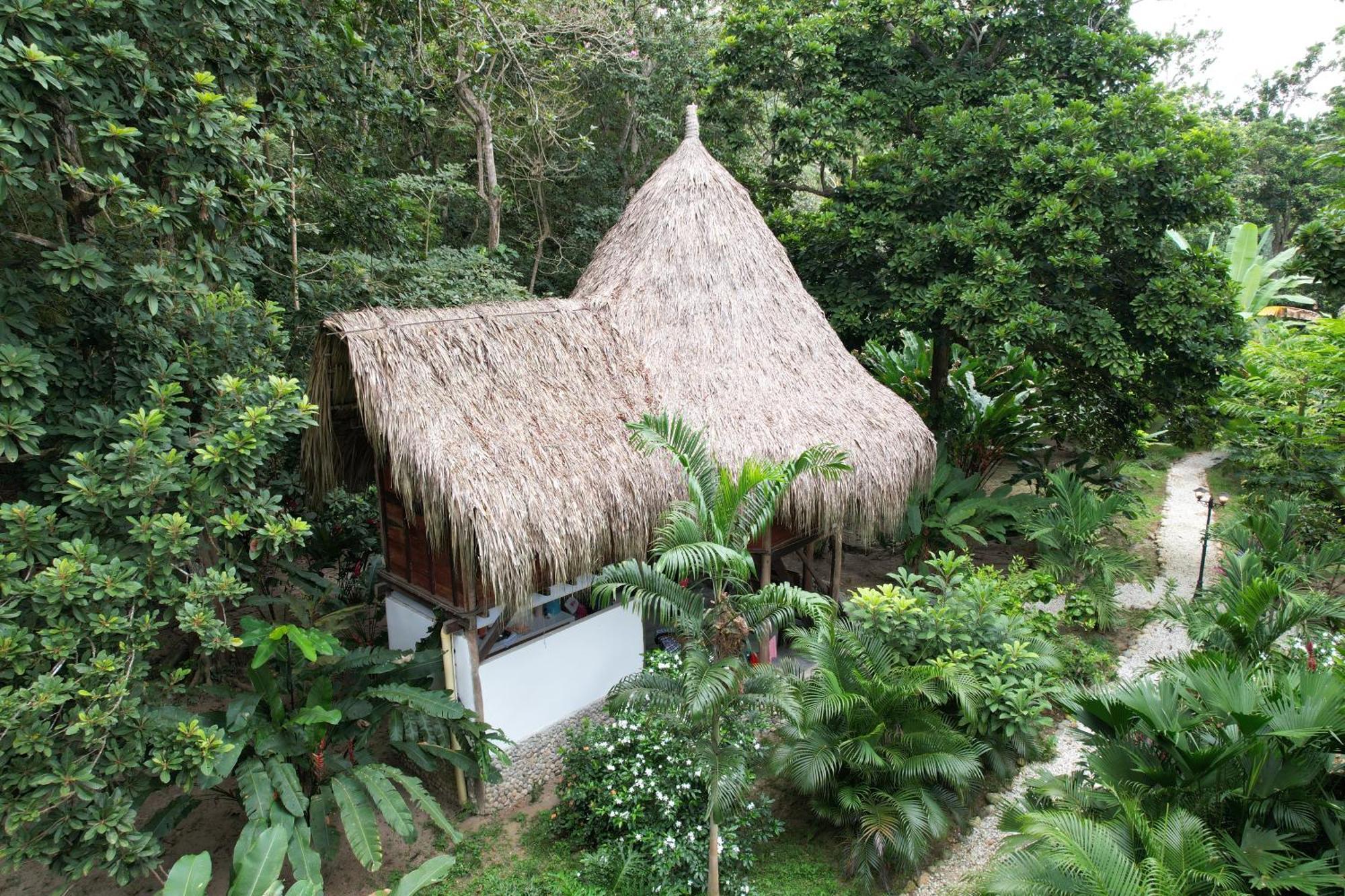 Salvia Madre Guachaca Exterior foto