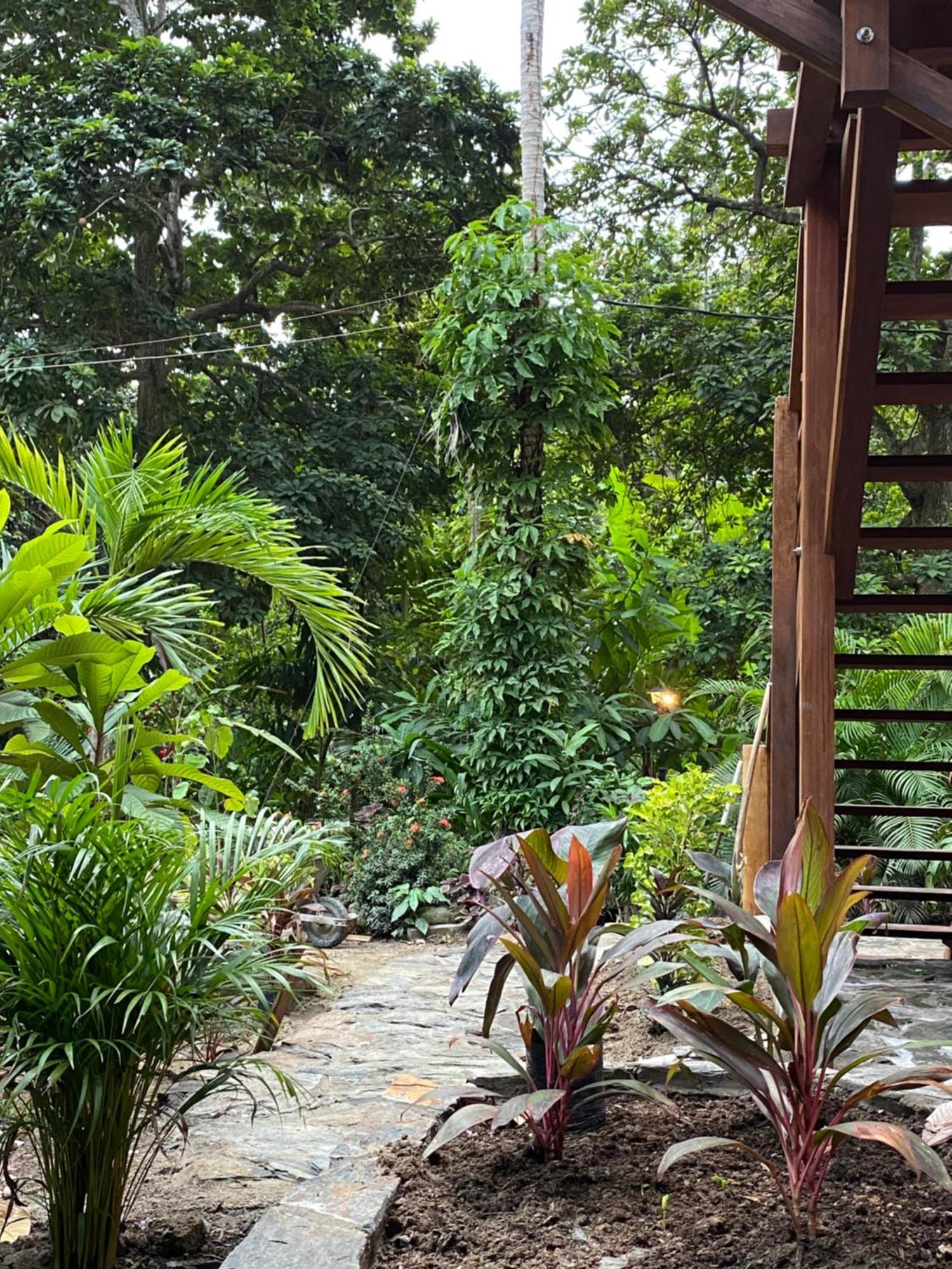 Salvia Madre Guachaca Exterior foto