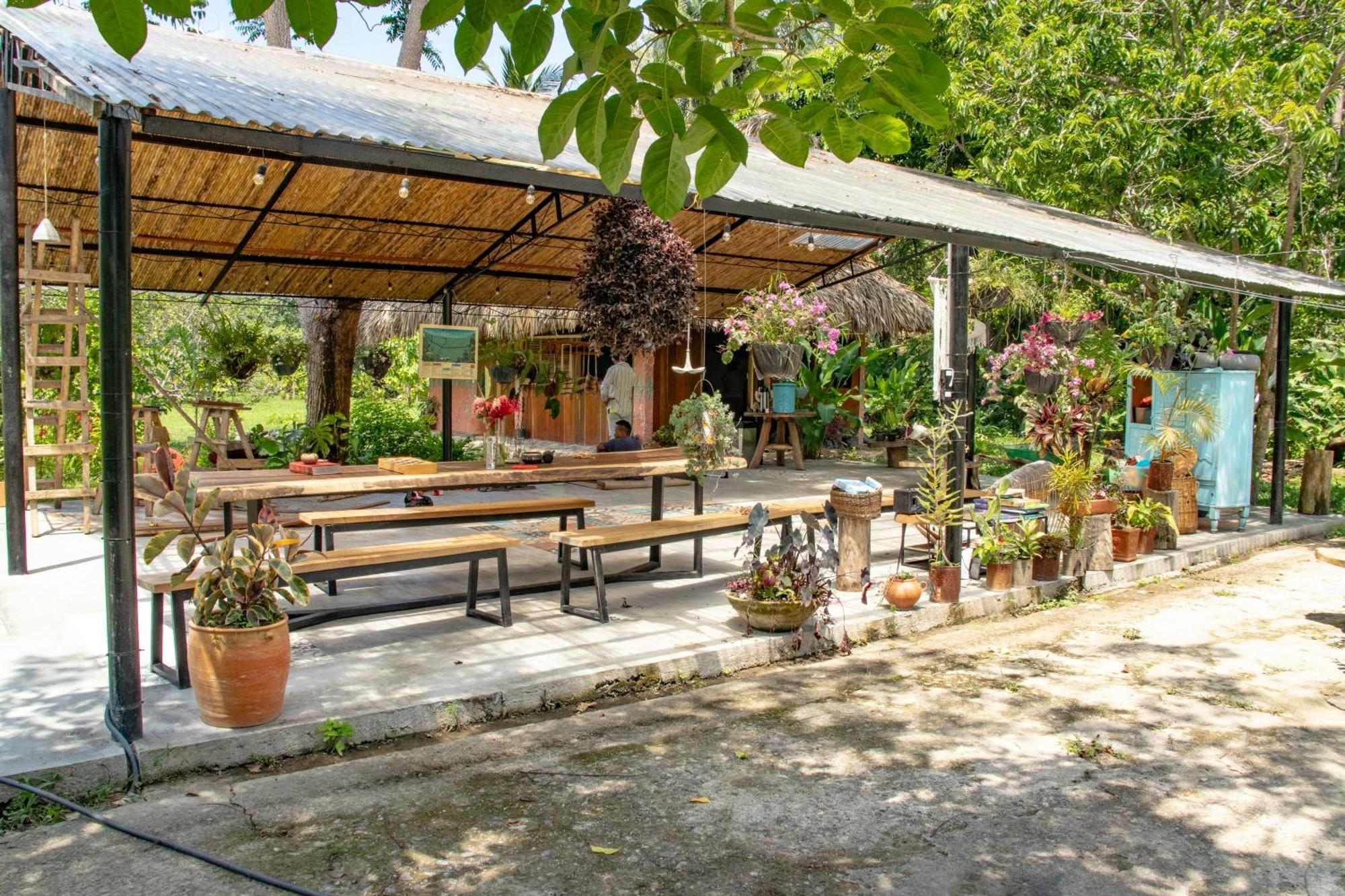 Salvia Madre Guachaca Exterior foto