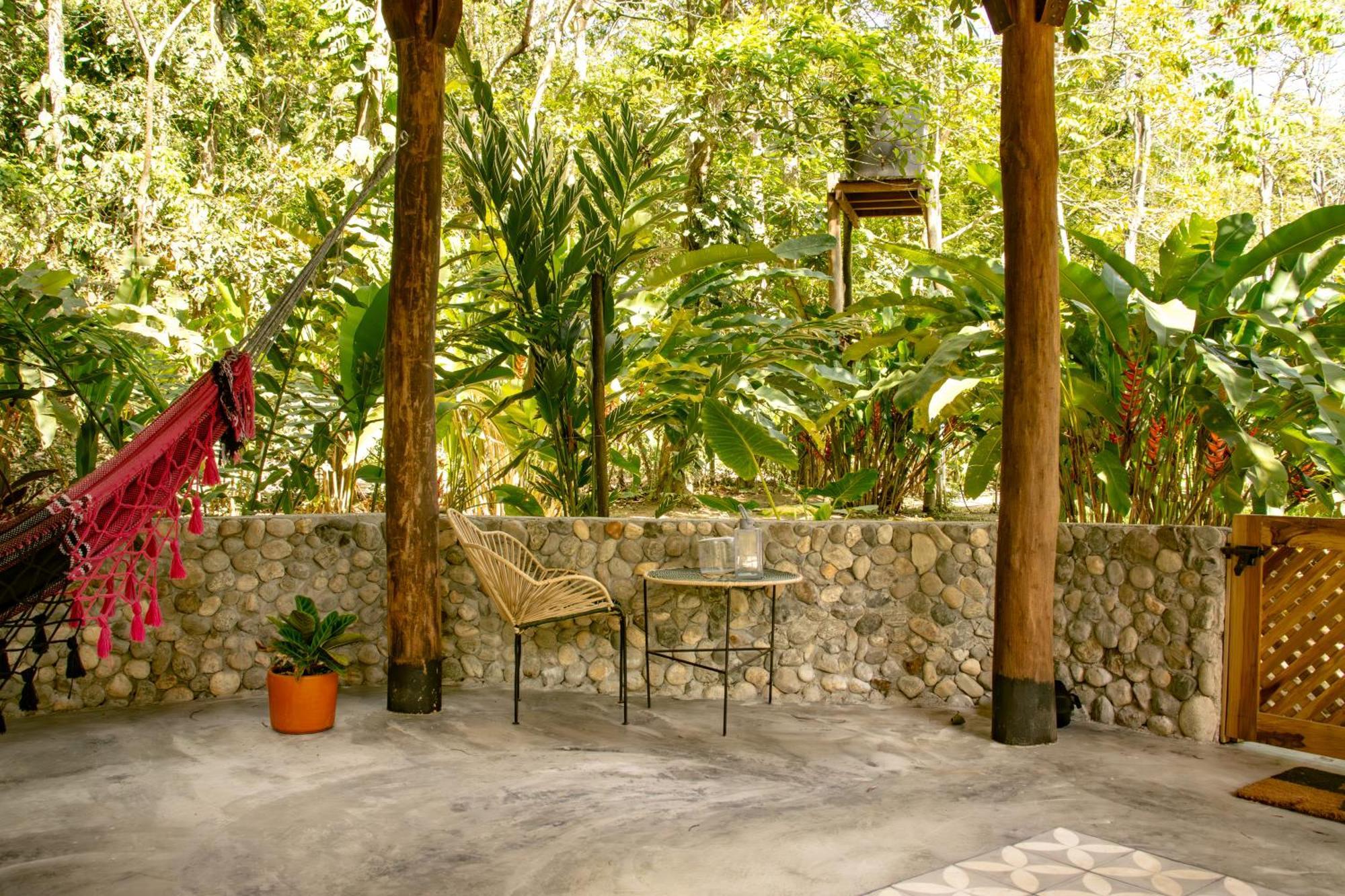 Salvia Madre Guachaca Exterior foto