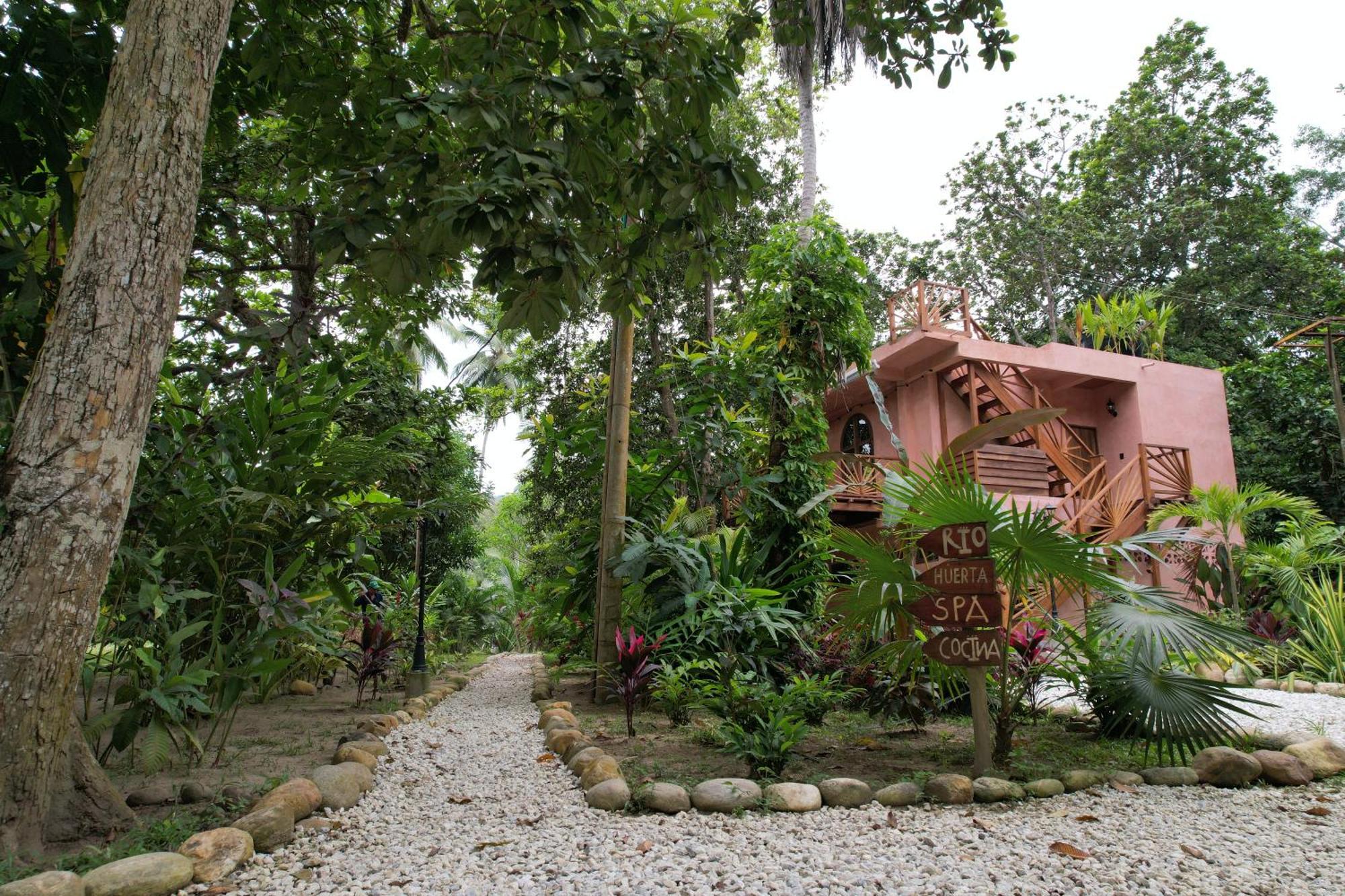 Salvia Madre Guachaca Exterior foto