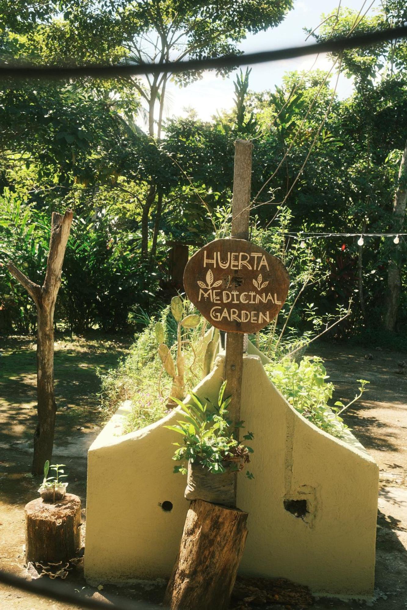 Salvia Madre Guachaca Exterior foto
